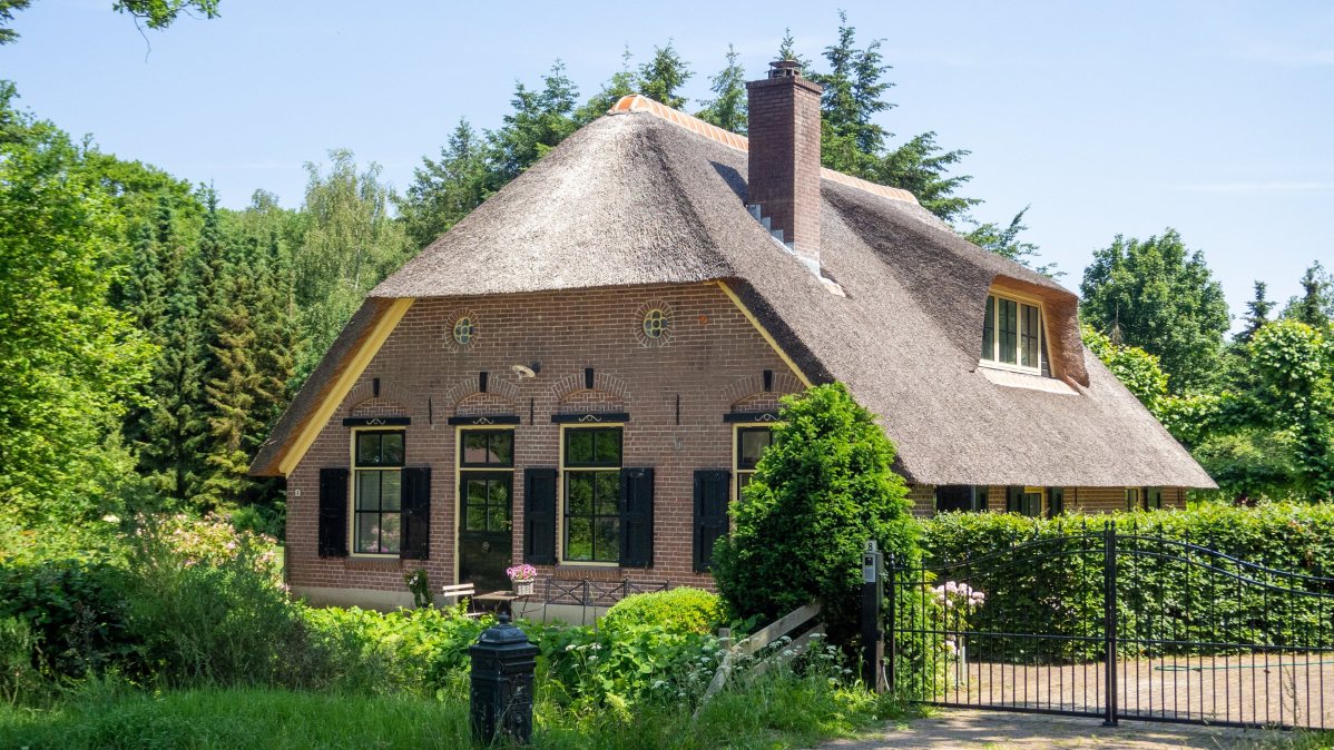 family living room interior